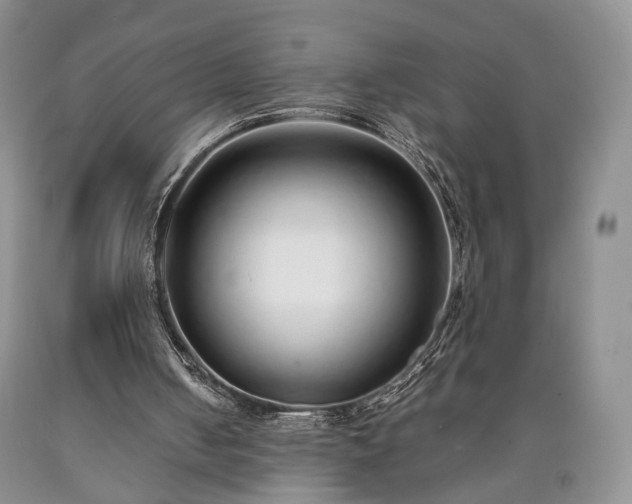 X0000090450050200707201322