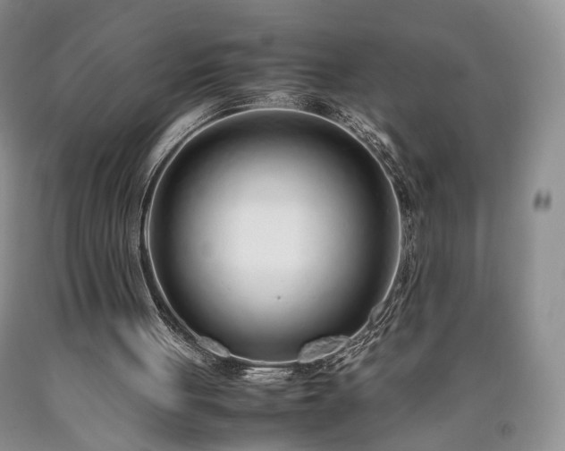 X0000090450051200707201322