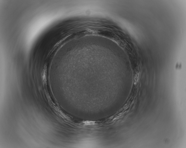 X0000090450052200707201322