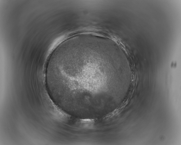 X0000090450053200707201322