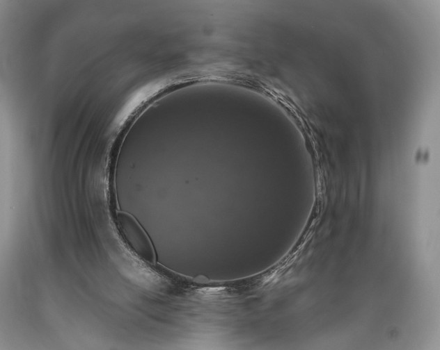 X0000090450054200707201322