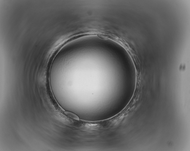 X0000090450055200707201322