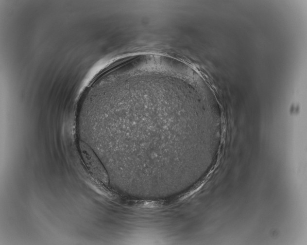 X0000090450056200707201322