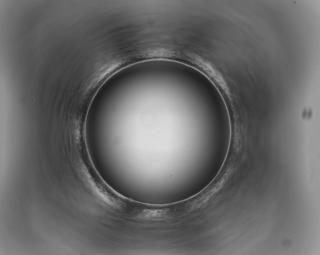 X0000090450057200707201322