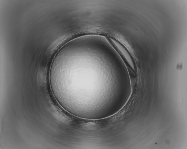 X0000090450058200707201322