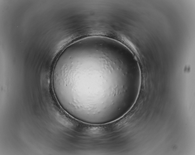 X0000090450059200707201322