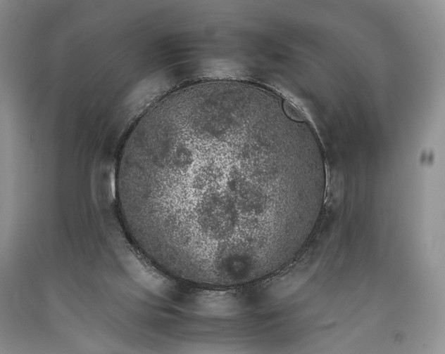 X0000090450061200707201322