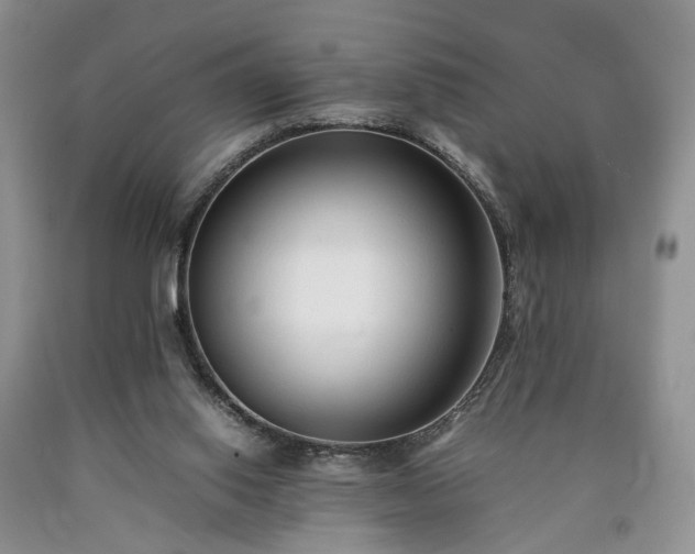 X0000090450062200707201322