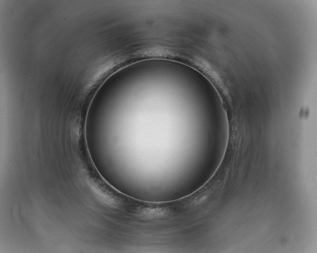 X0000090450063200707201322