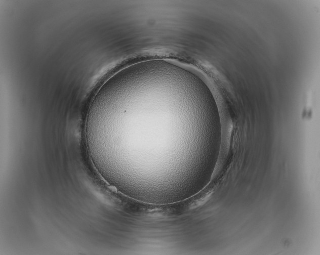 X0000090450064200707201322