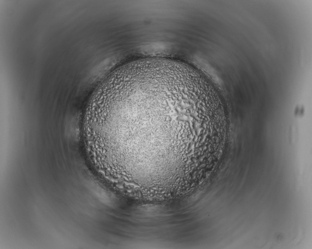 X0000090450065200707201322