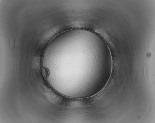 X0000090450066200707201322