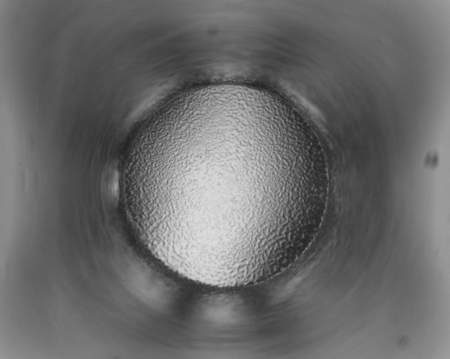 X0000090450067200707201322