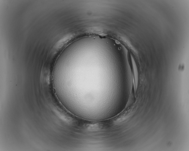 X0000090450068200707201322