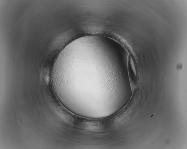 X0000090450069200707201322