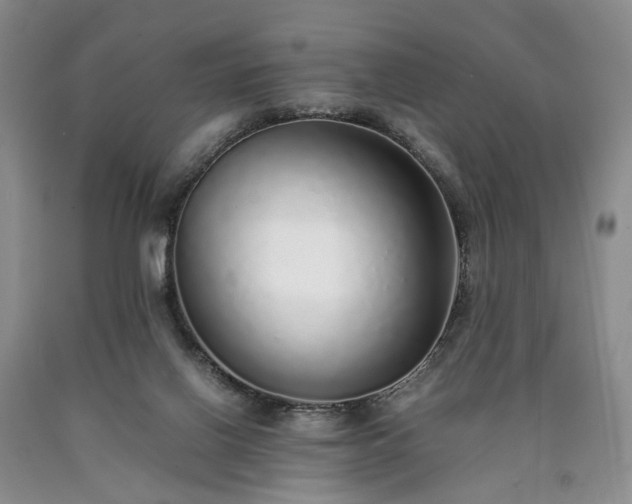 X0000090450070200707201322