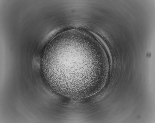 X0000090450072200707201322