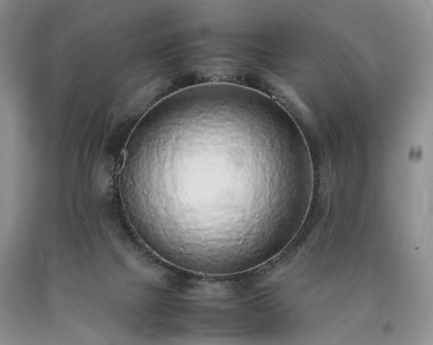 X0000090450073200707201322