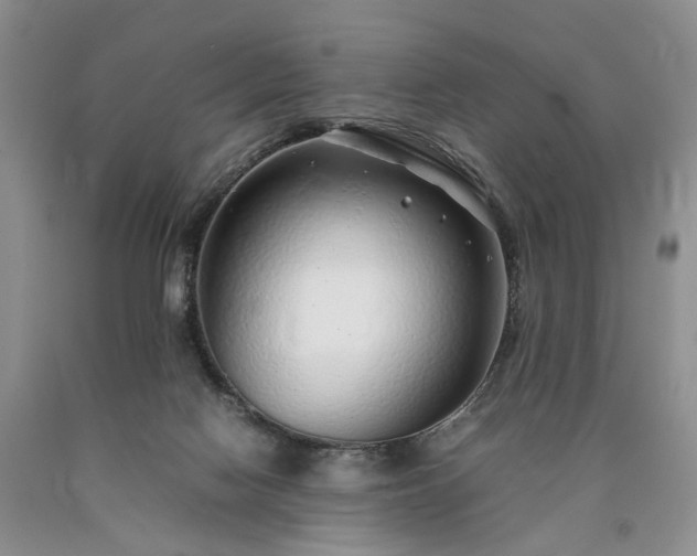 X0000090450074200707201322