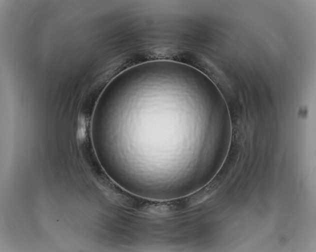 X0000090450075200707201322