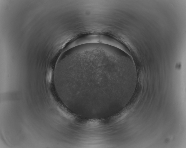 X0000090450076200707201322