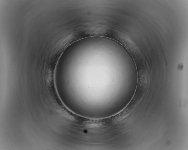 X0000090450077200707201322