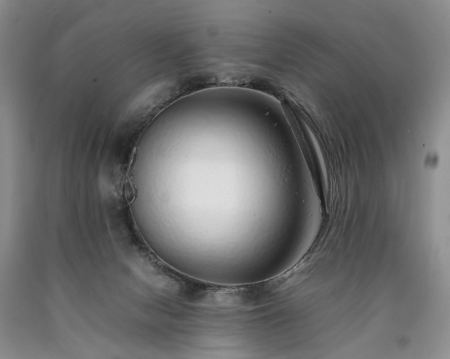 X0000090450078200707201322