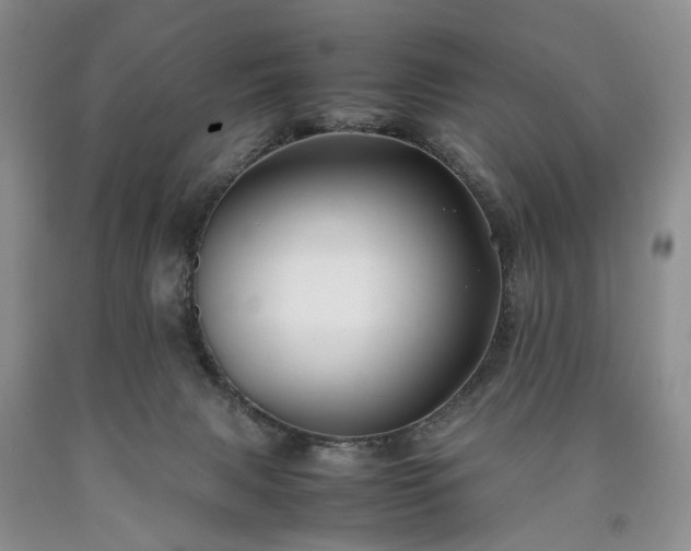 X0000090450079200707201322