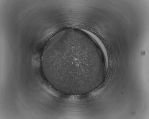 X0000090450080200707201322