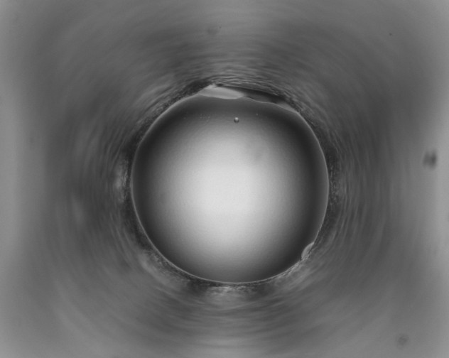 X0000090450082200707201322