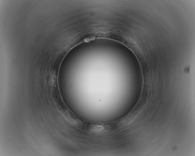 X0000090450083200707201322