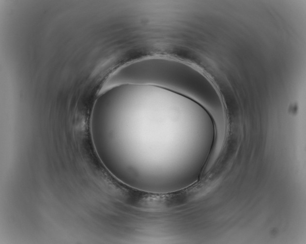 X0000090450084200707201322