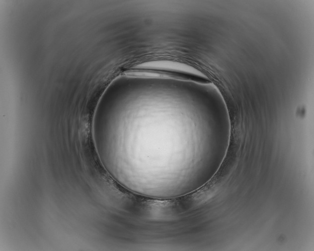 X0000090450085200707201322