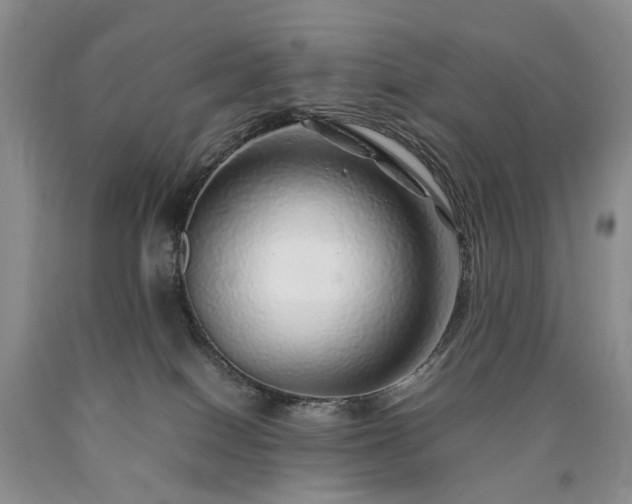 X0000090450086200707201322