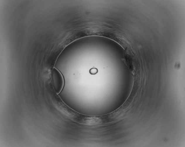 X0000090450087200707201322