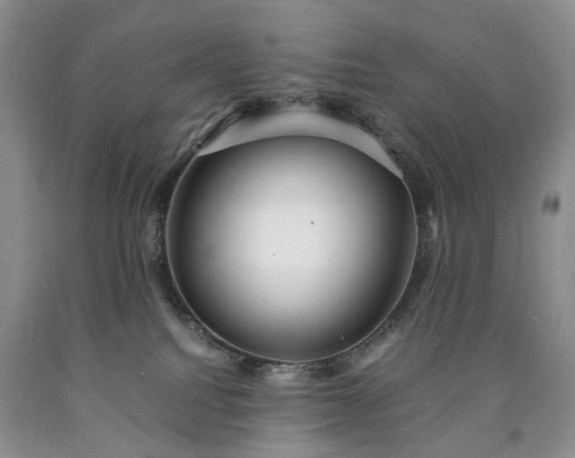 X0000090450088200707201322