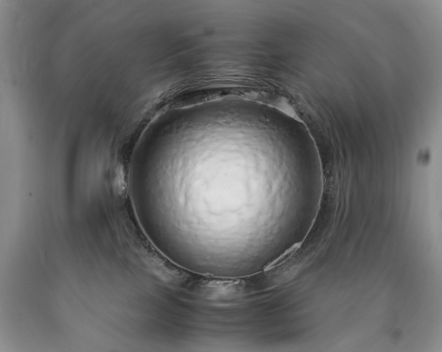 X0000090450089200707201322