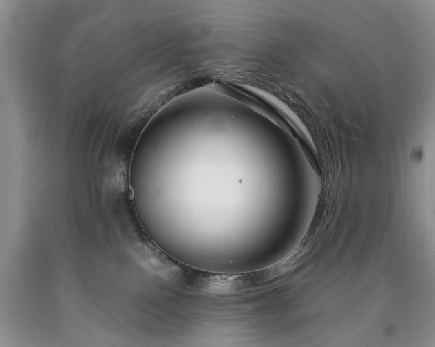 X0000090450090200707201322