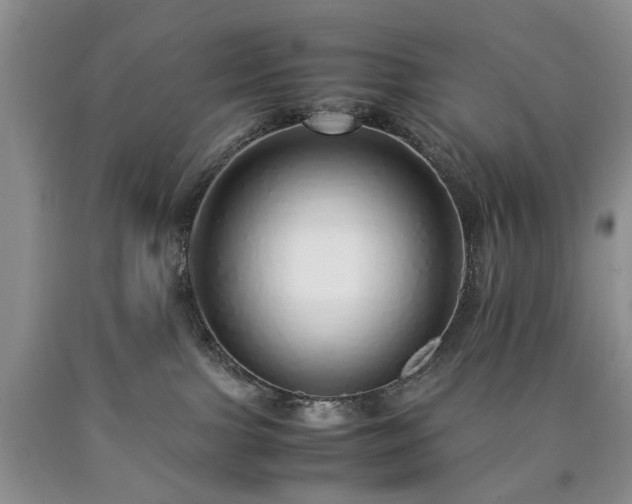 X0000090450091200707201322