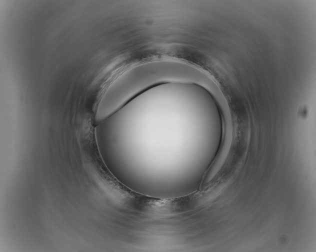 X0000090450092200707201322