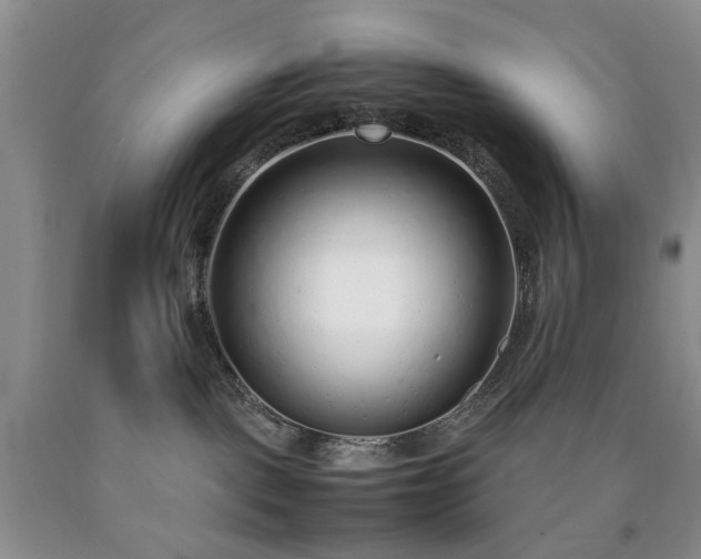 X0000090450093200707201322