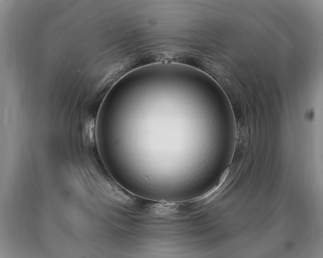 X0000090450094200707201322