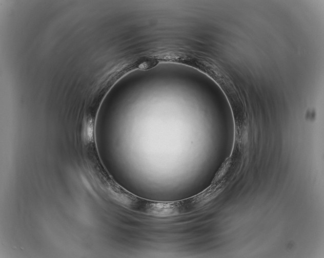 X0000090450095200707201322