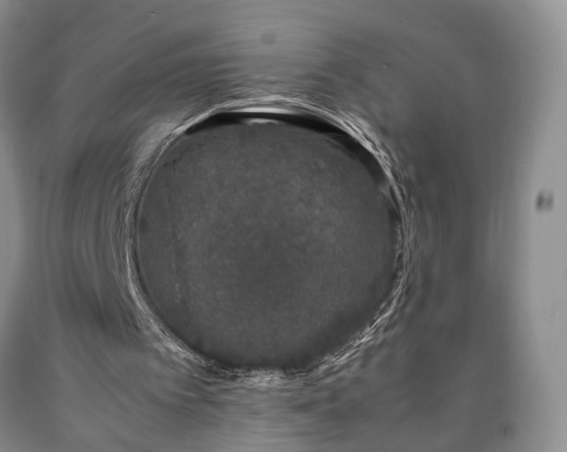 X0000090450097200707201322