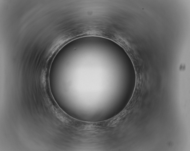 X0000090450098200707201322