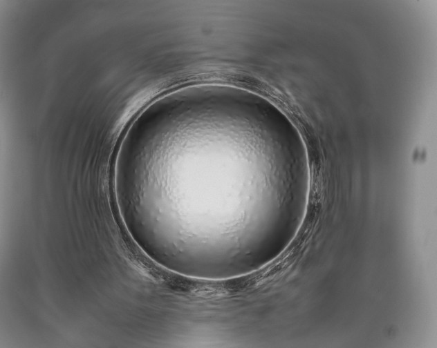 X0000090450099200707201322