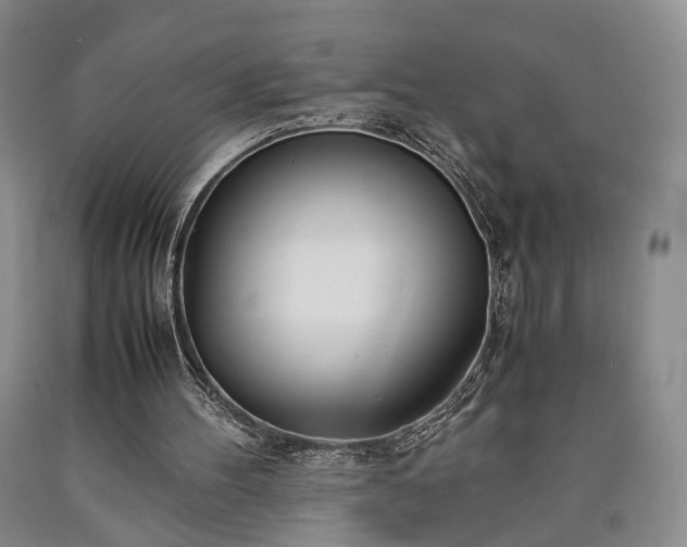 X0000090450100200707201322