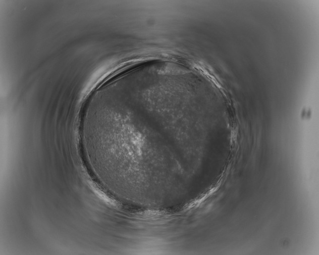 X0000090450101200707201322