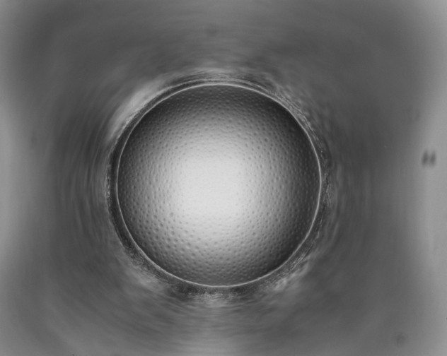 X0000090450103200707201322