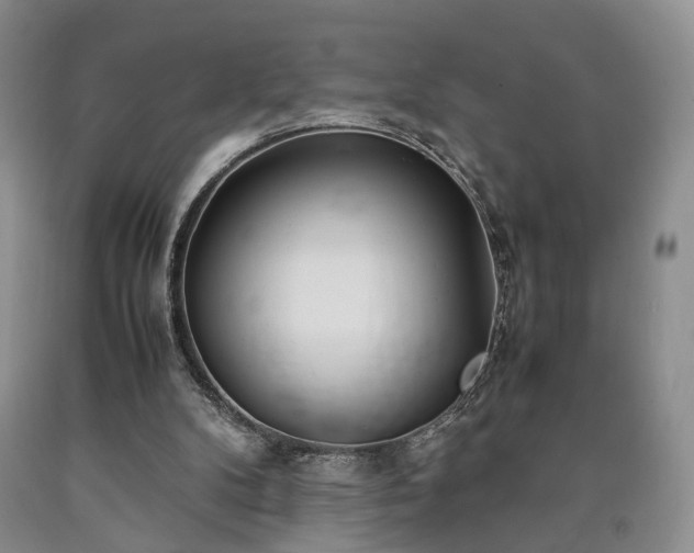 X0000090450104200707201322